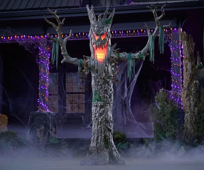 Gigantic 9-Foot Murderous Maple Tree
