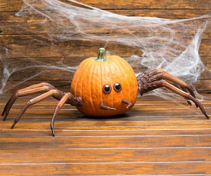 Spooky Halloween Spider Pumpkin Appendages