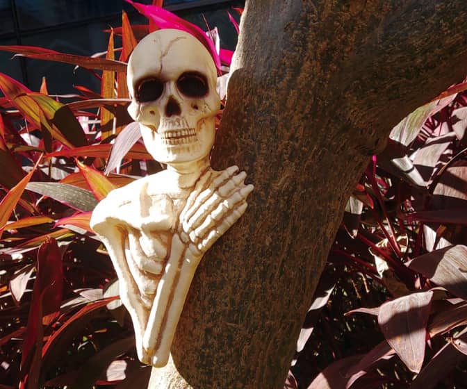 Spooky Lurking Skeleton Tree Mount Decoration