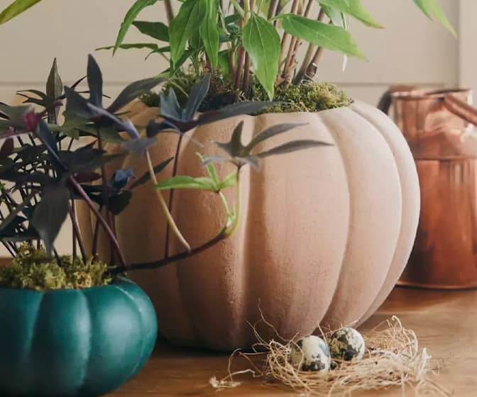 Terracotta Pumpkin Planters