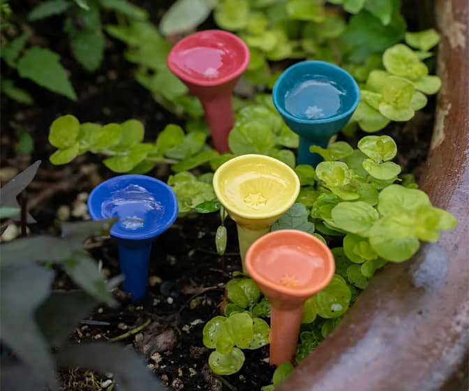 Bee Cups - Thirsty Pollinator Watering Stations w/ a UV-Reactive Glaze