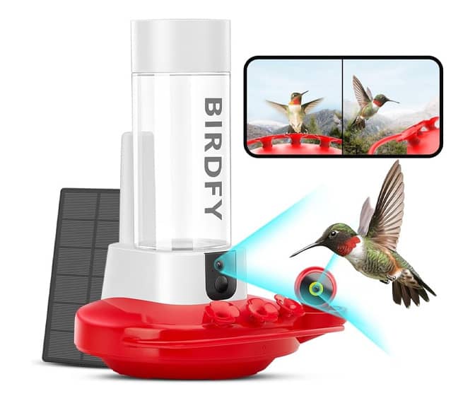 Birdfy Smart Hummingbird Feeder with Dual 2K Cameras and A.I. Identify
