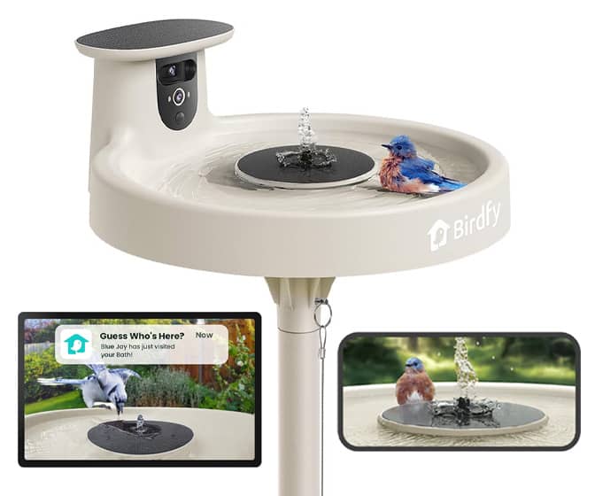 Birdfy Solar-Powered Smart Bird Bath Fountain, Camera, and Stand