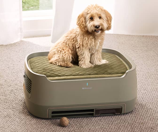 BlueAir PetAir Pro - World's First Pet Bed That Purifies the Air