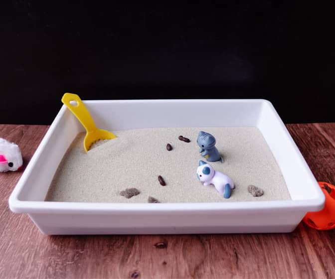 Cat Litter Box Zen Garden