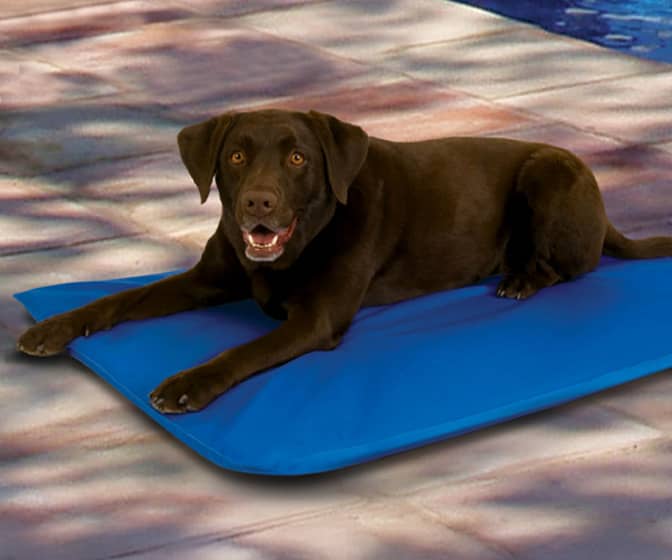 Cool Bed III - Instant Cooling Dog Mat