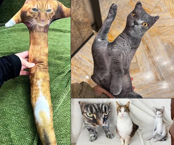 Custom Ugly Pet Pillows