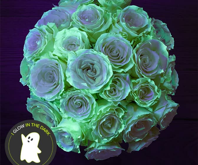 Eerie Glow-in-the-Dark Roses