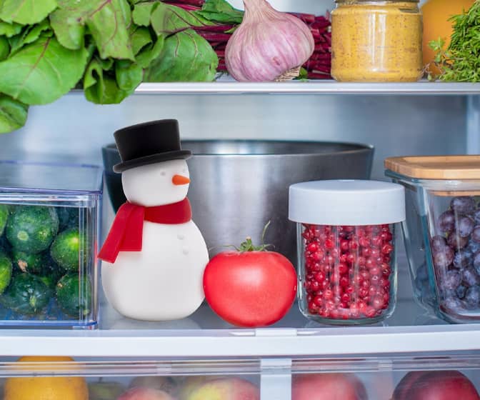 Freezy - Whimsical Snowman Fridge Deodorizer