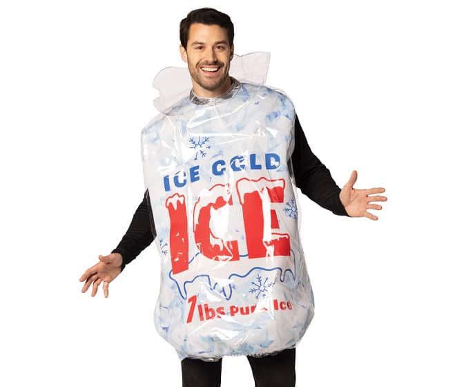 Giant Bag of Ice Costume