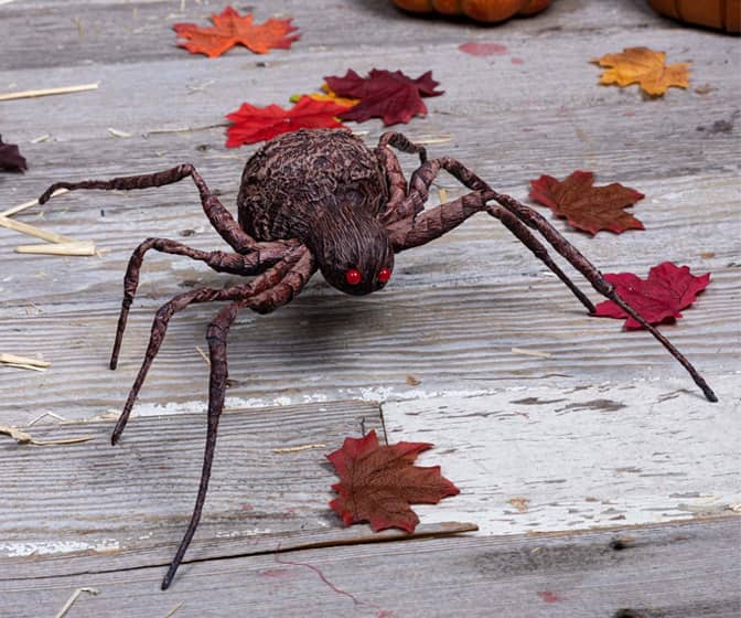 Giant Grotesque Spider Prop