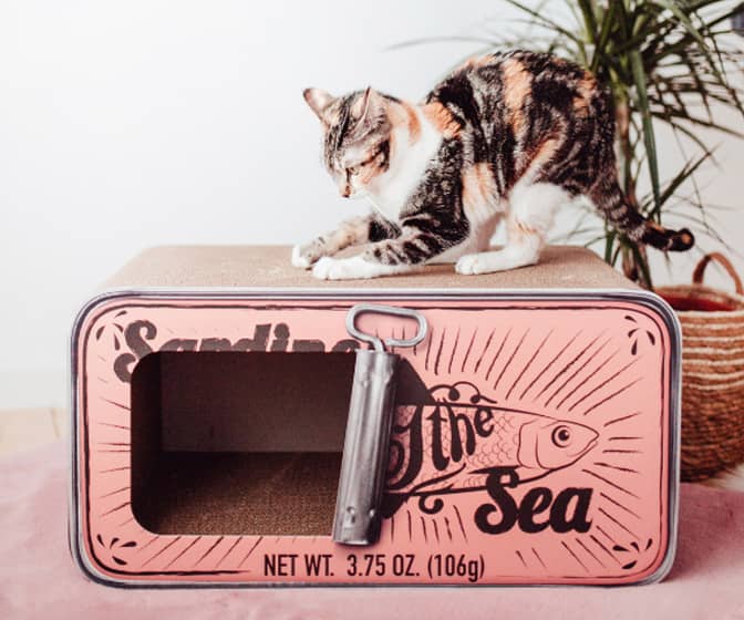 Giant Sardine Can Cardboard Cat Scratcher
