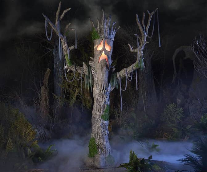 Gigantic 9-Ft Horrifying Hickory Tree