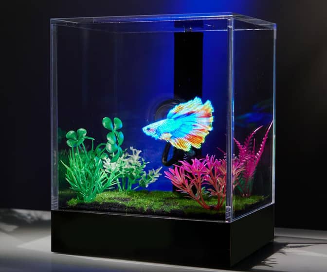 3D Hologram Fish Tank