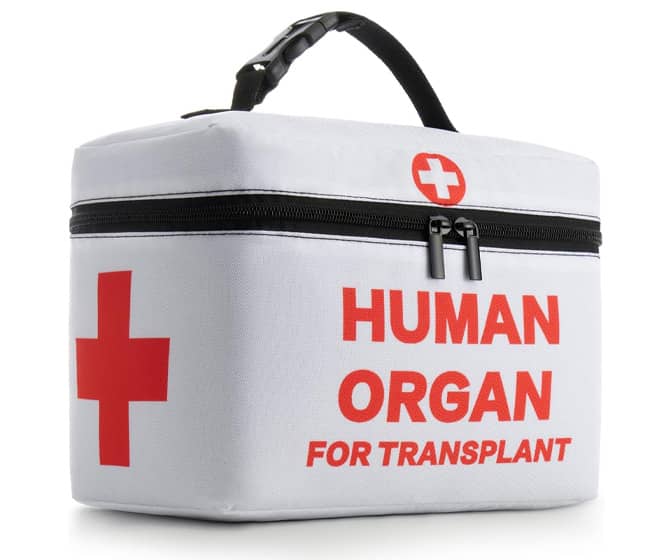 Human Organ for Transplant - Anti-Theft Insulated Lunch Bag