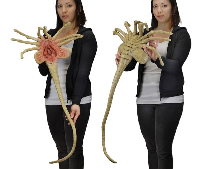 Life-Sized ALIEN Facehugger Prop Replica