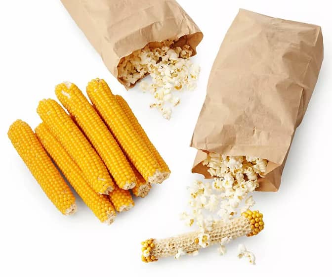 Poppin' Cobs - Microwave Popcorn on the Cob