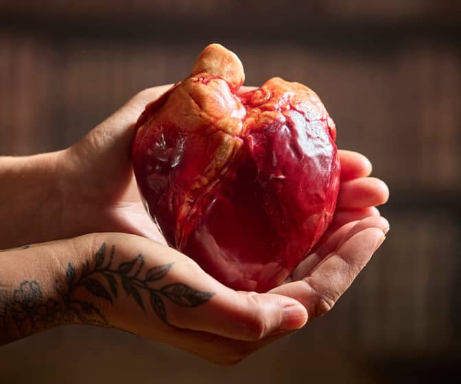 Realistic Chocolate Anatomical Human Hearts