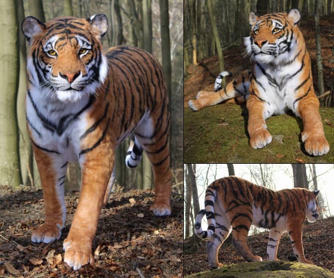 Realistic Life-Sized Bengal Tiger Replica