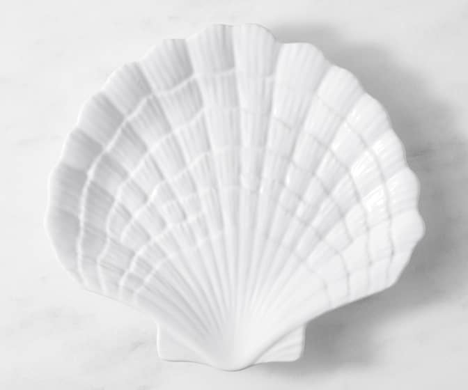 Seashell Plates