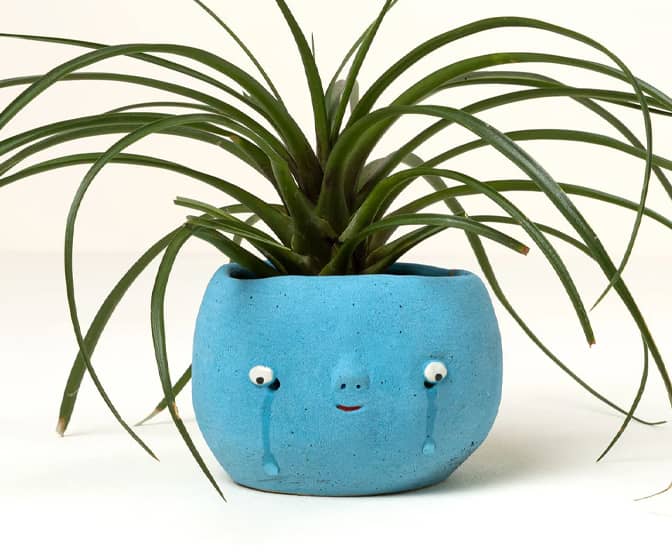 Tears of Joy Crying Planter