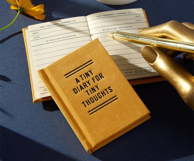 A Tiny Diary for Tiny Thoughts