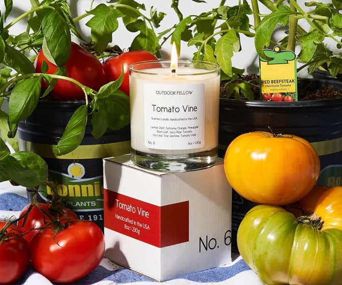 Tomato Vine Scented Candle with a Coconut / Apricot Wax Blend