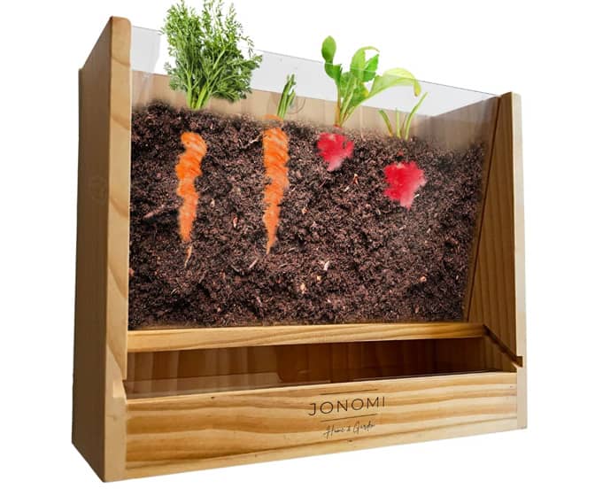 Vegetable Root Viewer Planter - Watch Roots as They Grow